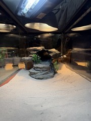 Reptile 20g tank w/supplies