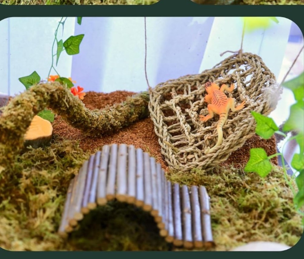 Hermit Crab Reptile Toy Hammock Swing Moss Bridge Turtle Snake Tortoise Lot
