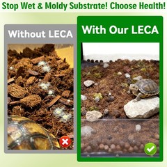 Halatool Leca Clay Balls | Organic Drainage for Reptiles & Plants | 2QT