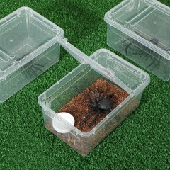 8 Pcs Reptile Breeding Box Plastic Spider Terrarium Tarantula Feeding Box for…