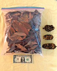 Starter Leaf Litter Vivariums Terrariums Isopods Dart Frog 2 Ga. BAG BONUS PODS
