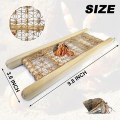 Hermit Crab Climbing Straight Ladder Wooden and Rope Hermit Crab Climbing Wall H