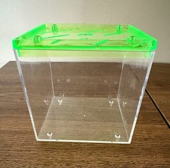 Tarantula Cribs 3” Glow Cube Acrylic Enclosure Neon Green Sling Spider Web Vent