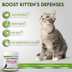 Trulysine L-Lysine for Cats Immune Support 100 Grams ( 500mg / Scoop), NO