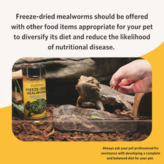 Freeze Dried Insects, Nutrient, Packed Mealworms, Ideal for Lizards, Reptiles, B