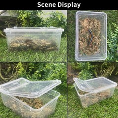 PINVNBY Reptile Feeding Box 8 PCS Snake Breeding Box Reptile Transport Contai…