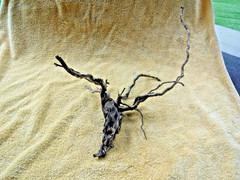 NATURAL SPIDER LIKE ROOT WOOD REPTILE TERRARIUM DECORATION ART GARDEN PET FLORAL