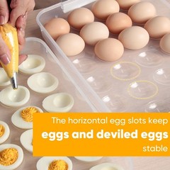 Newness Deviled Egg Containers with Lid, (Set of 2), Plastic Deviled Egg Carr…