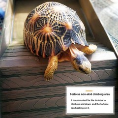 kathson Reptile Tortoise Turtle 14″ L x 7.87″ W x 2.36″ H, Style 1-Brown