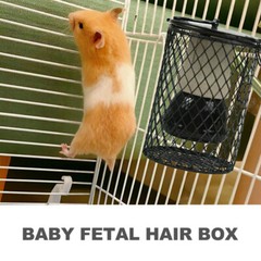 Reptile Lampshade Pet Cage Lampshade Shell Light Cover Tank Supply Anti-Scalding