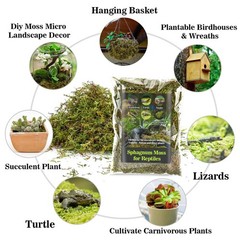 Sukh Sphagnum Moss for Reptiles – Terrarium Green Dried green