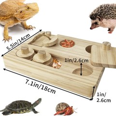 Bearded Dragon Feeder Puzzle, Wooden Lizard Feeding , Reptile Interactive Enr…