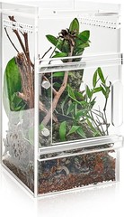 Pre-Assembled Jumping Spider Enclosure 3X3X6 Inch Acrylic Spider Cage Insect Ter