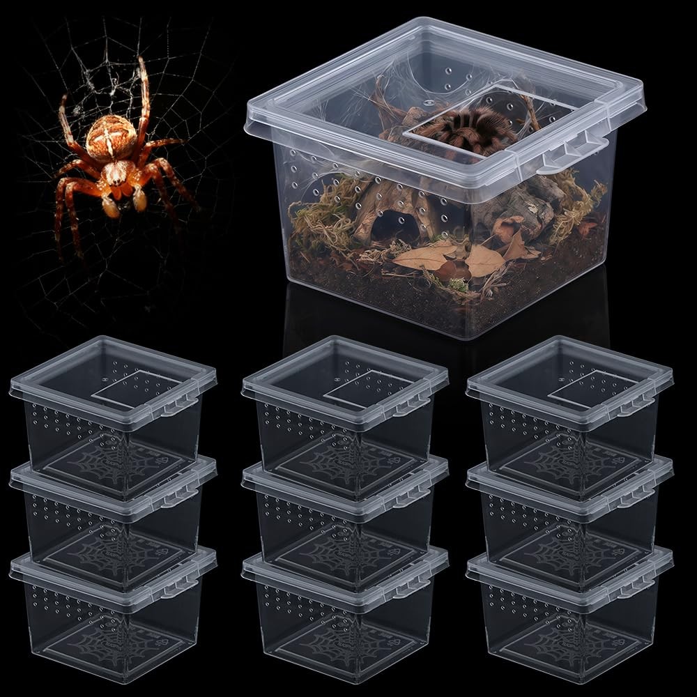 10 Pcs Insect Spider Terrariums Breeding Box Hatching Container Transparent