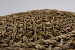 Reptology Lizard Lounger – 100% Natural Seagrass Fiber – Great for Bearded Drago