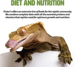 Fluker’s Buffet Blend Aquatic Formula, Turtle 7.5 Ounce (Pack of 1), n./a