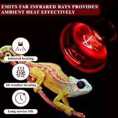 Reptile Red Heat Lamp Bulb – 100W Infrared Basking Spot Light