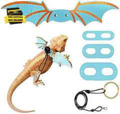 Bearded Dragon Reptile Harness and Leash Set, 3 Adjustable Sizes Dragon Wing Des