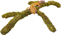 Leopard Gecko Tank Accessories, Adjustable Climbing Toys Supplies, Terrarium Hab