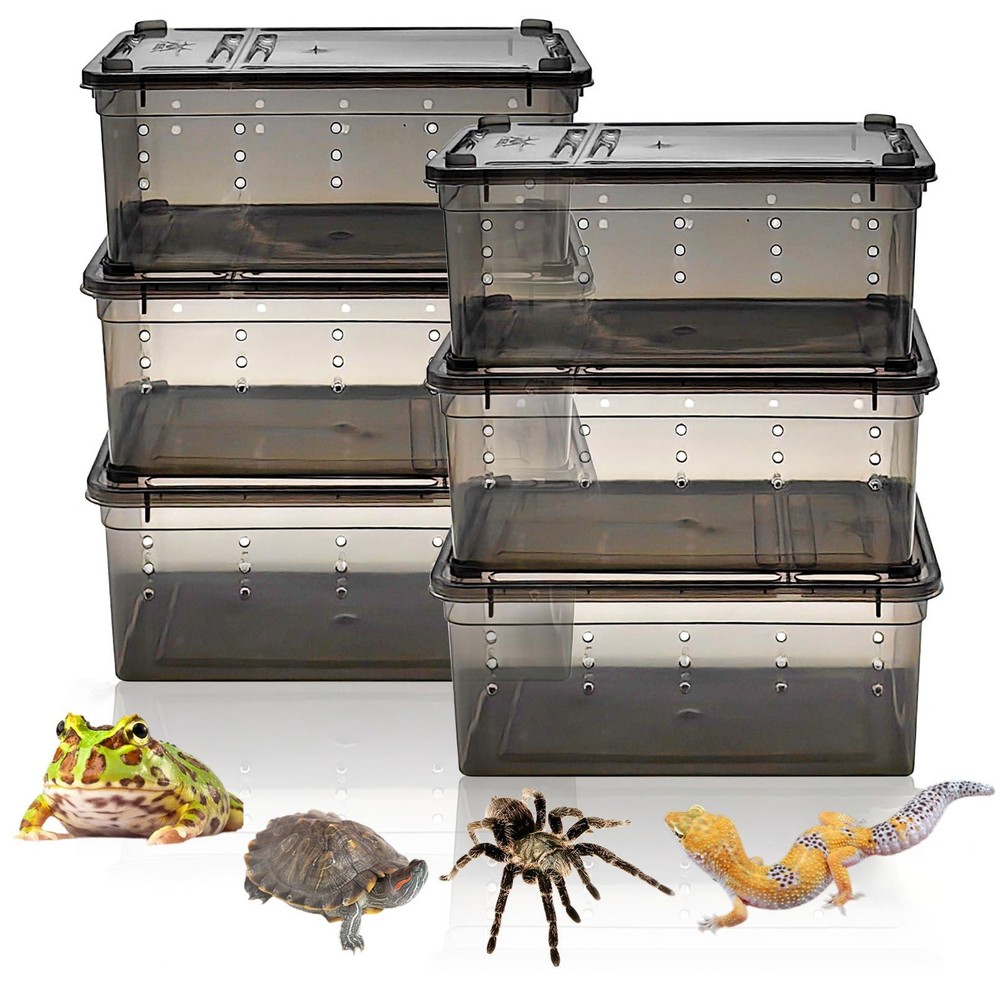 6pcs reptile Plastic Terrarium, Transport Container for Lizards, Geckos and more