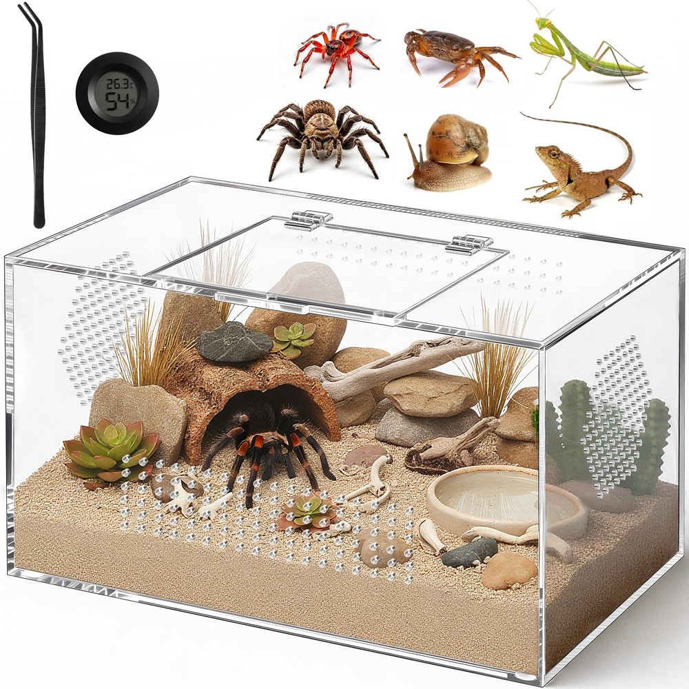 Acrylic Tarantula Enclosure, Jumping Spider Medium (12″×7″×7″), Horizontal