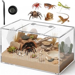 Acrylic Tarantula Enclosure, Jumping Spider Medium (12″×7″×7″), Horizontal