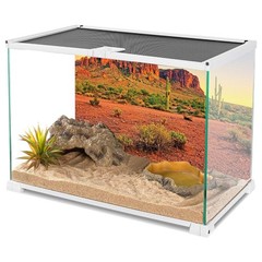 AWERT 48×24 inches Reptile Habitat Background Sky Oasis Mountain Cactus Sun a…