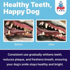 Pup Labs ProDenta, Dog Teeth Cleaning and Dog Breath Freshener, Natural Powde…