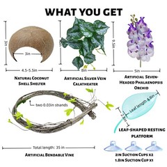 Crested Gecko Terrarium Decor Kit – 5PCS Rainforest Tank Accessories with Coc…