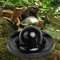 Reptile Feeding Dish Tortoise Food Dish for Bearded Dragon Tortoise