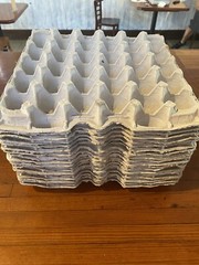egg crate flats, standard 12 x 12 x 1 holds 30 eggs biodegradable material 