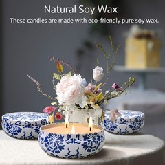 Hausware Citronella Candles Outdoor & Indoor – Large 13.5 oz Scented Candles …
