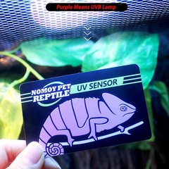 4 Pack UVB Sensor Cards for Reptiles – Quick Test Photochromic Indicator