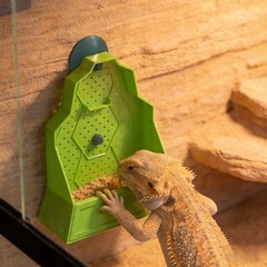 Reptile Feeding Bowl with Suction Cups Wall Mounted Green ABS