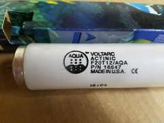 2 PACK F20T12/AQA AQUARIUM LAMPS HIGH ACTINIC FOR SALT WATER #16647 USA MADE