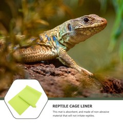 2Pcs Durable Reptile Carpet Mat Non Stick Smooth Surface for 40 Gallon Tank