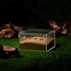 Set of 2 Lizard Terrarium Reptile Tarantula Enclosure Scorpion Habitat