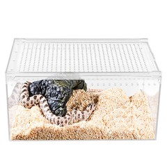 Magnetic Acrylic Large Enclosure 2.5 Gallon 12 X 8 X 6 Inch Reptile Breeding Box