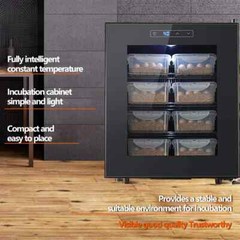 Auto Controller Eggs Incubators Reptile Incubator for Reptiles Turtles Lizards