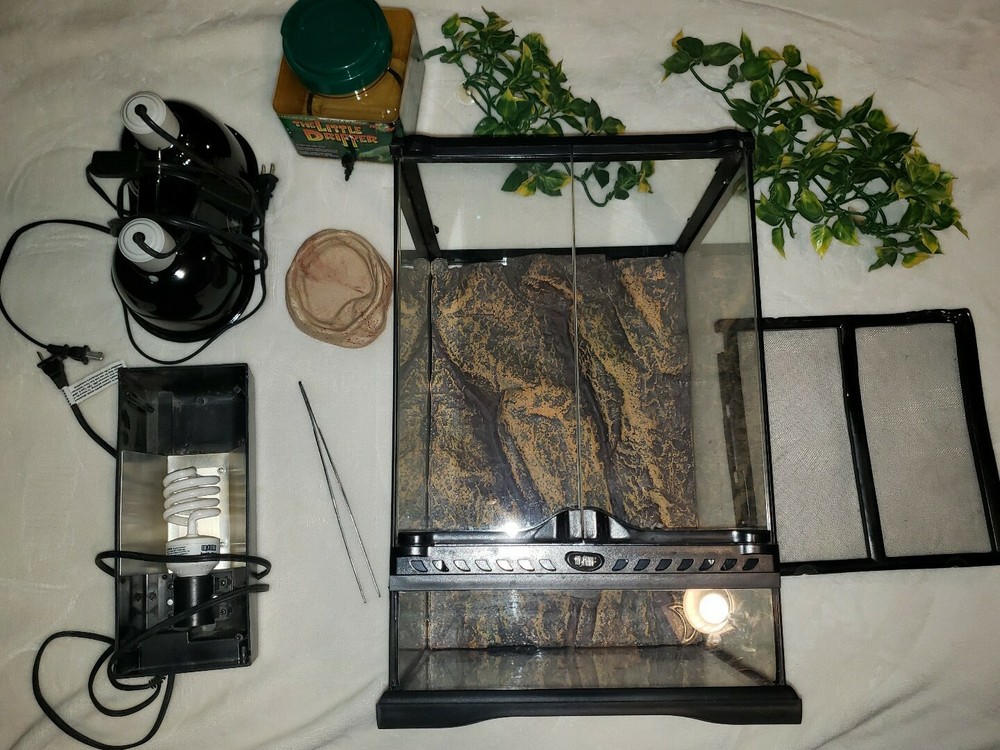 Reptile Terrarium with Lamps and Accessories Lizard Iguana