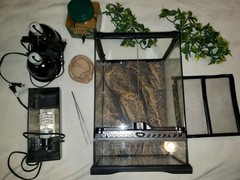 Reptile Terrarium with Lamps and Accessories Lizard Iguana