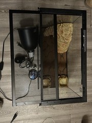 10gallon ReptileCage with light 2lightbulbs,the mat,the home,food and water bowl