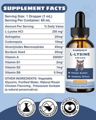 SANTKOL L-Lysine Supplement for Cats – Immune Support – 60ML Lysine 60 ML