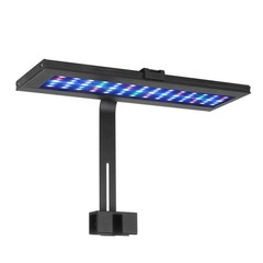 LED Aquarium Light for 12-20 Inch Tanks, Full Spectrum Fish Tank Light with 2…