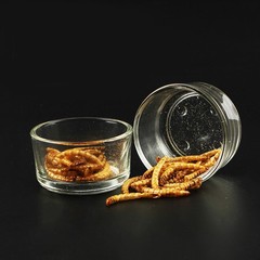 4Pcs Durable Glass Pet Reptile Feeder Bowls Clear Food and Water Dish