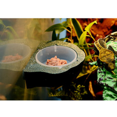 Gecko Feeder Ledge Reptile Terrarium Decorative Feeding Bowl