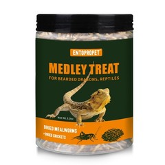 Dried Mealworms and Dried Crickets – Higher in Calcium and Richer in Protein-…