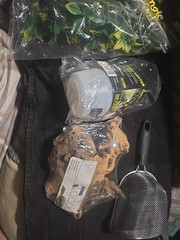 NEWSet Of 4 Starter Kit For Tropical Terrarium Mister Bottle,Wood,Plant,Scooper