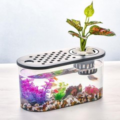 Small Turtle Tank Kit, Reptile Aquarium with Basking Platform, Decor Stones &…
