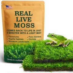 Live Moss Duo Pack Mixed Varieties For Reptile Terrariums Bonsai Vivariums